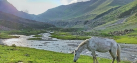 A Nature Lover’s Guide to Kamchatka Peninsula