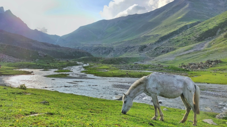 A Nature Lover’s Guide to Kamchatka Peninsula