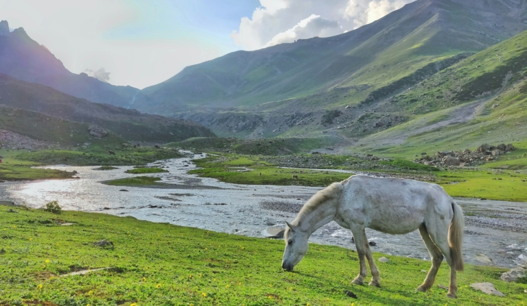 A Nature Lover’s Guide to Kamchatka Peninsula